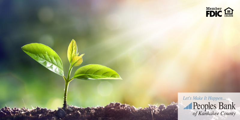 How to Create a Cleaner Earth