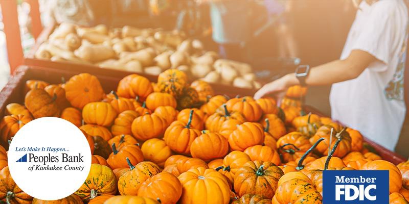 Fall Into Winter Activities